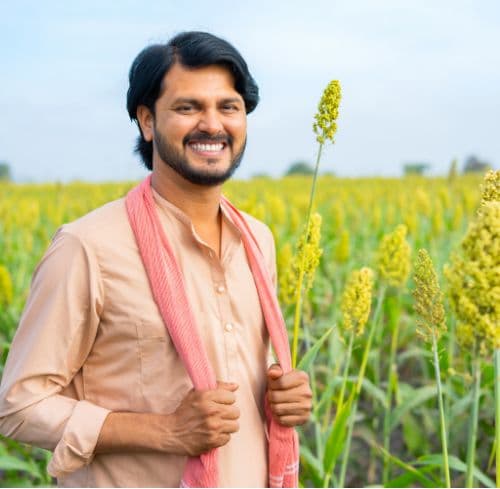 Agronomist field visit