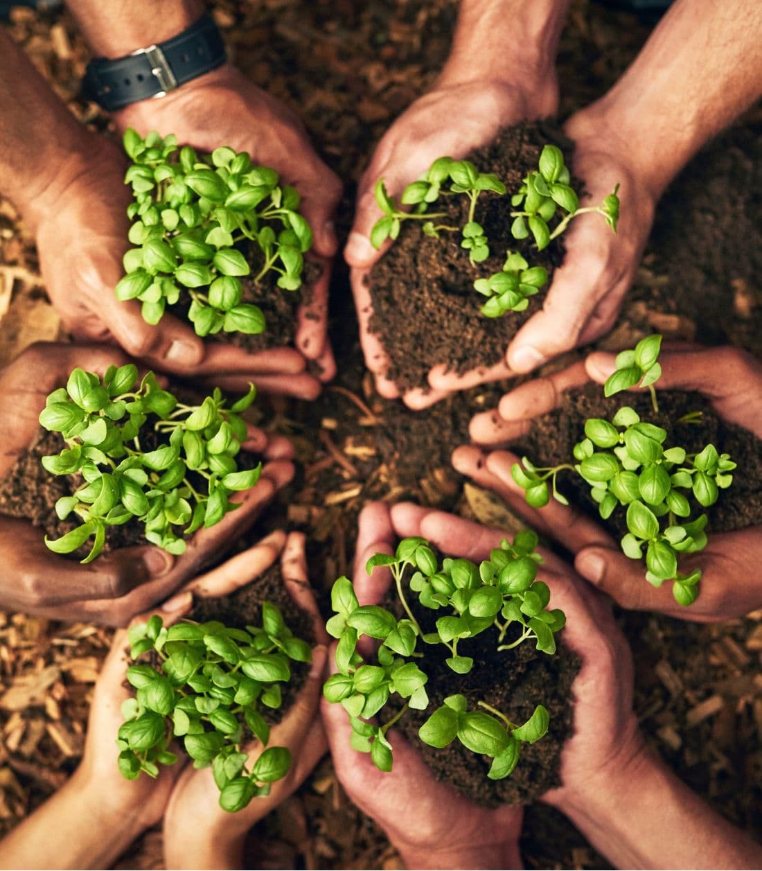 Sustainable farming by T. Stanes