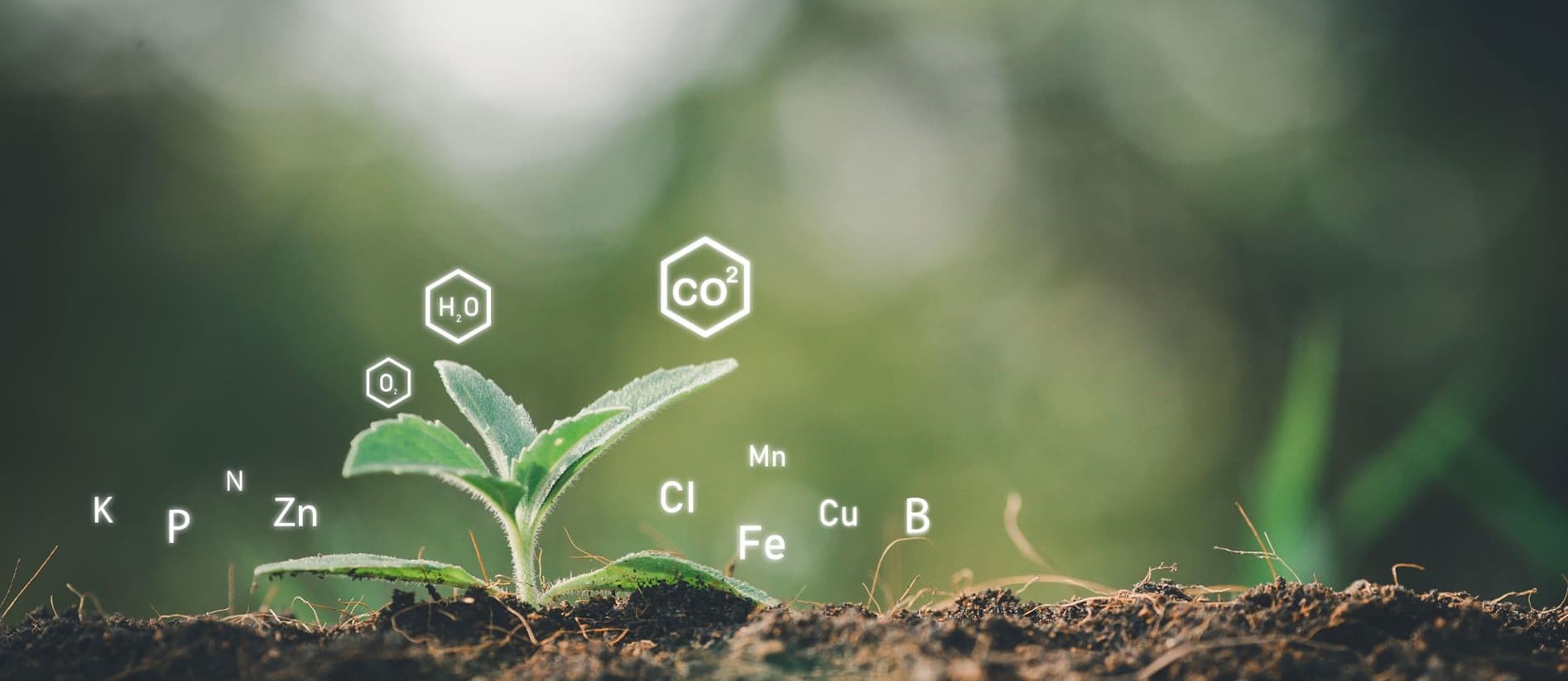 Trusted by Millions of Farmers