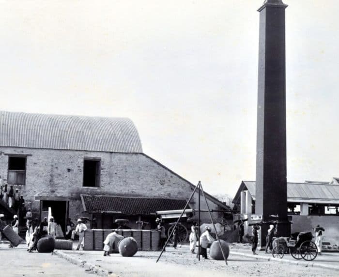 T Stanes and Company History