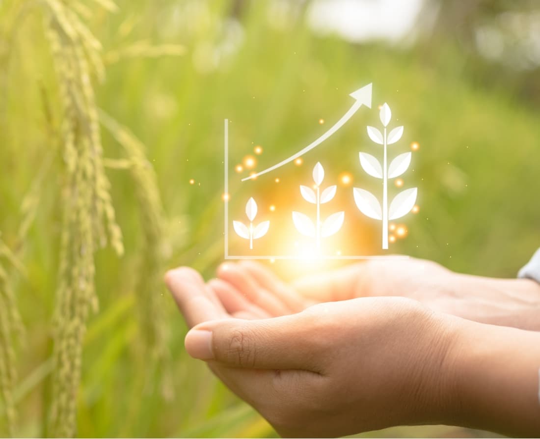 Stanes Global Impact in Agriculture