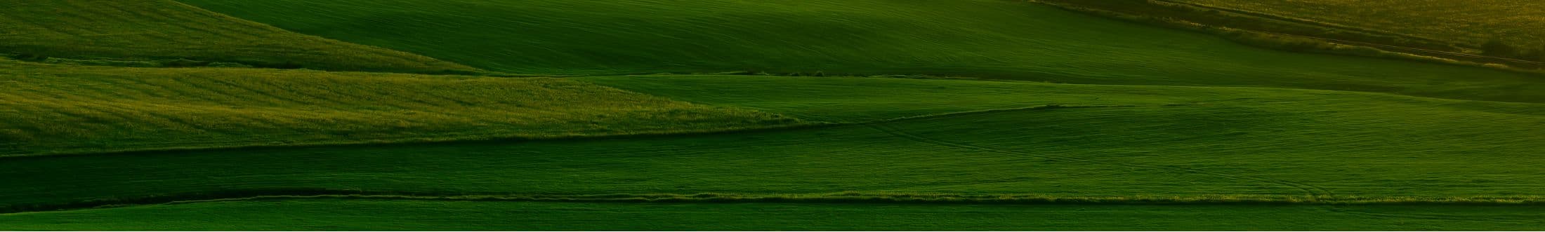WhatsApp background
