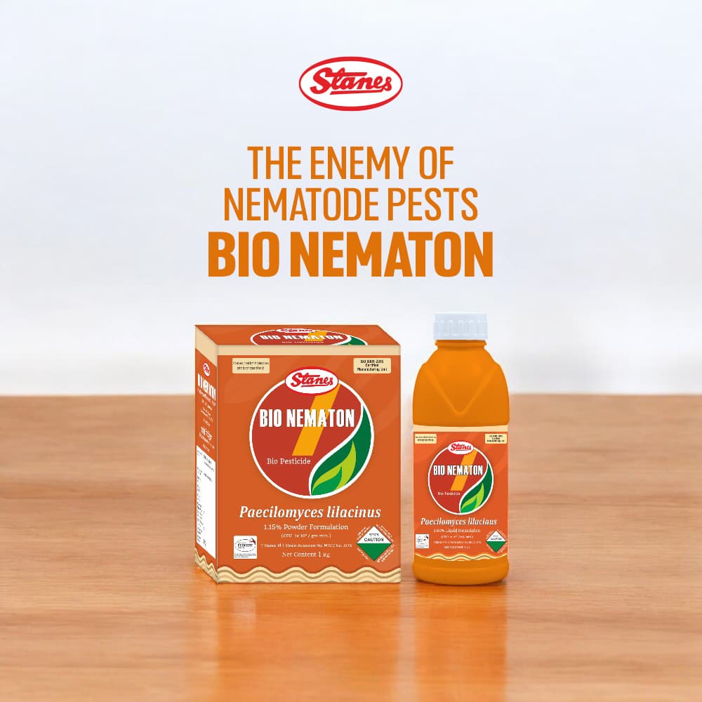 Bio Nematon