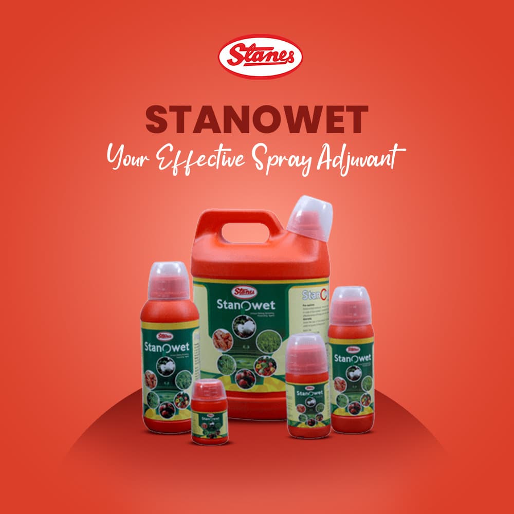Stanowet