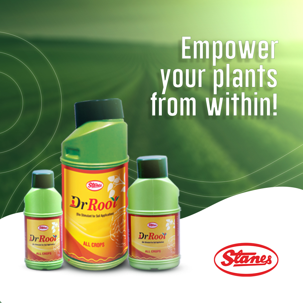 Dr. Root | T. Stanes and Company Limited
