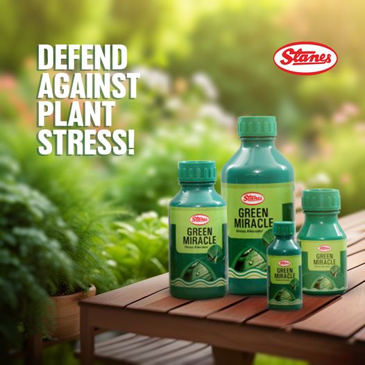 Green Miracle Image
