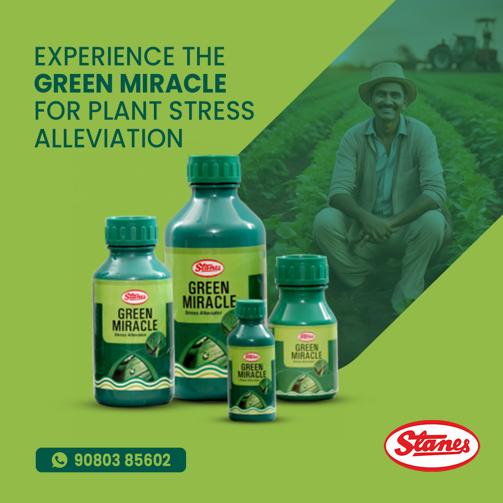 Green Miracle Image