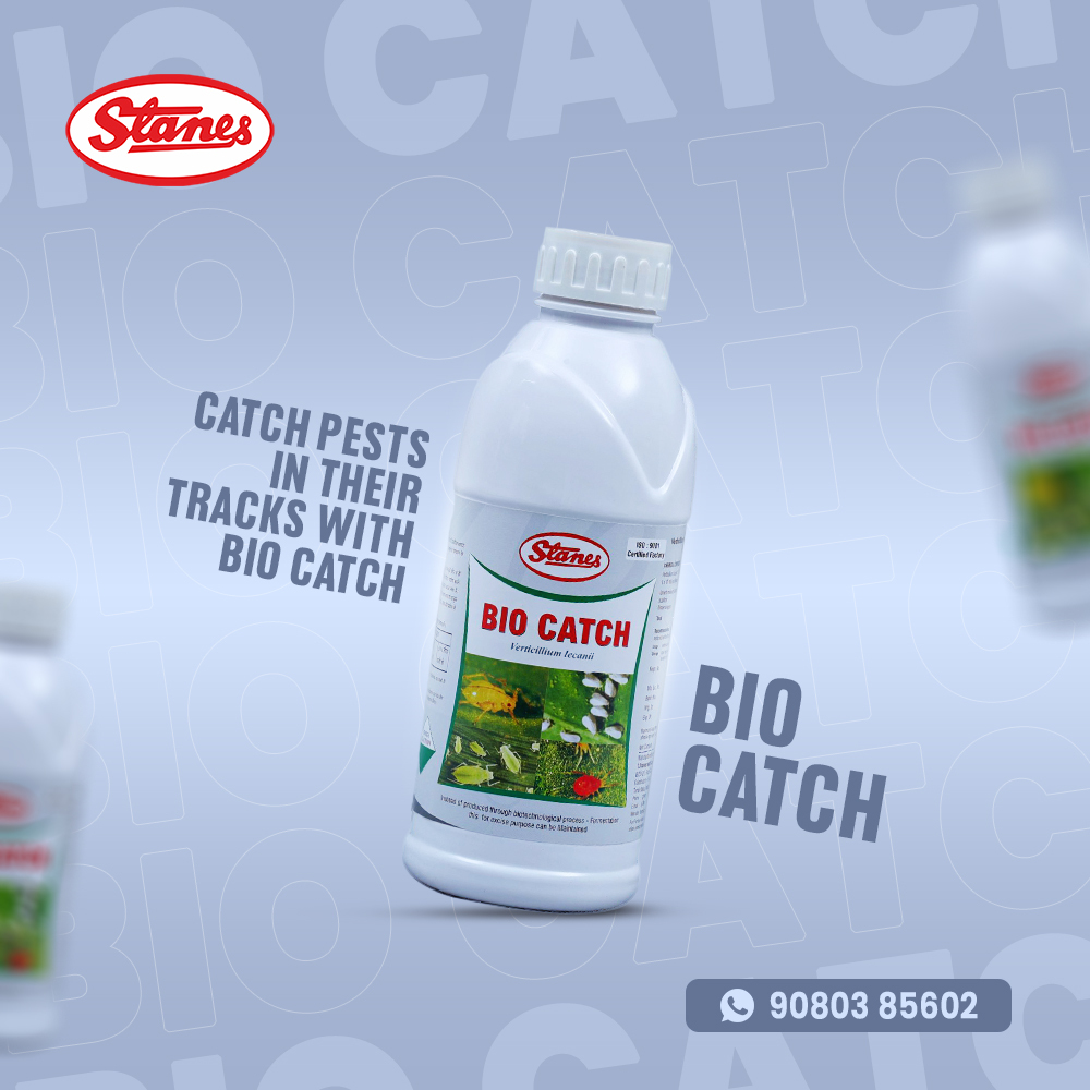 BioCatch Image