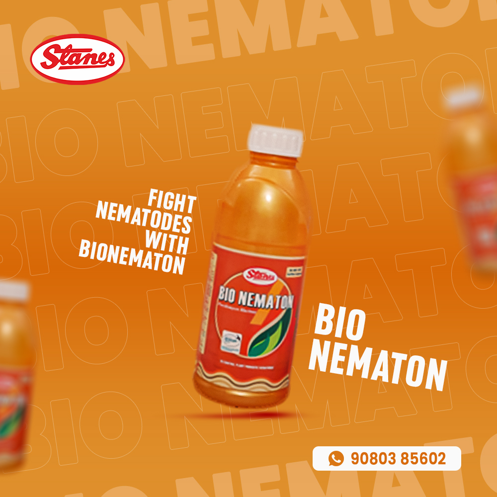 Bio Nematon Image