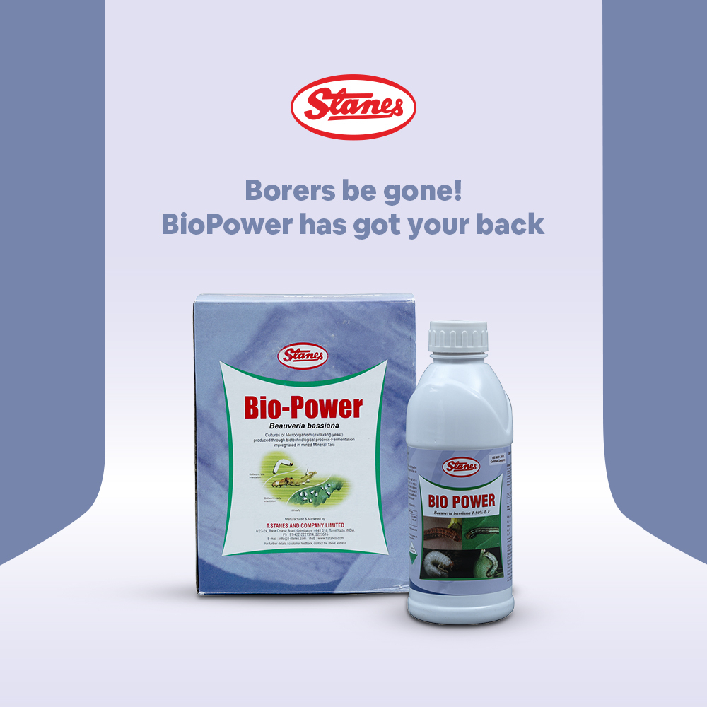 BioPower Image
