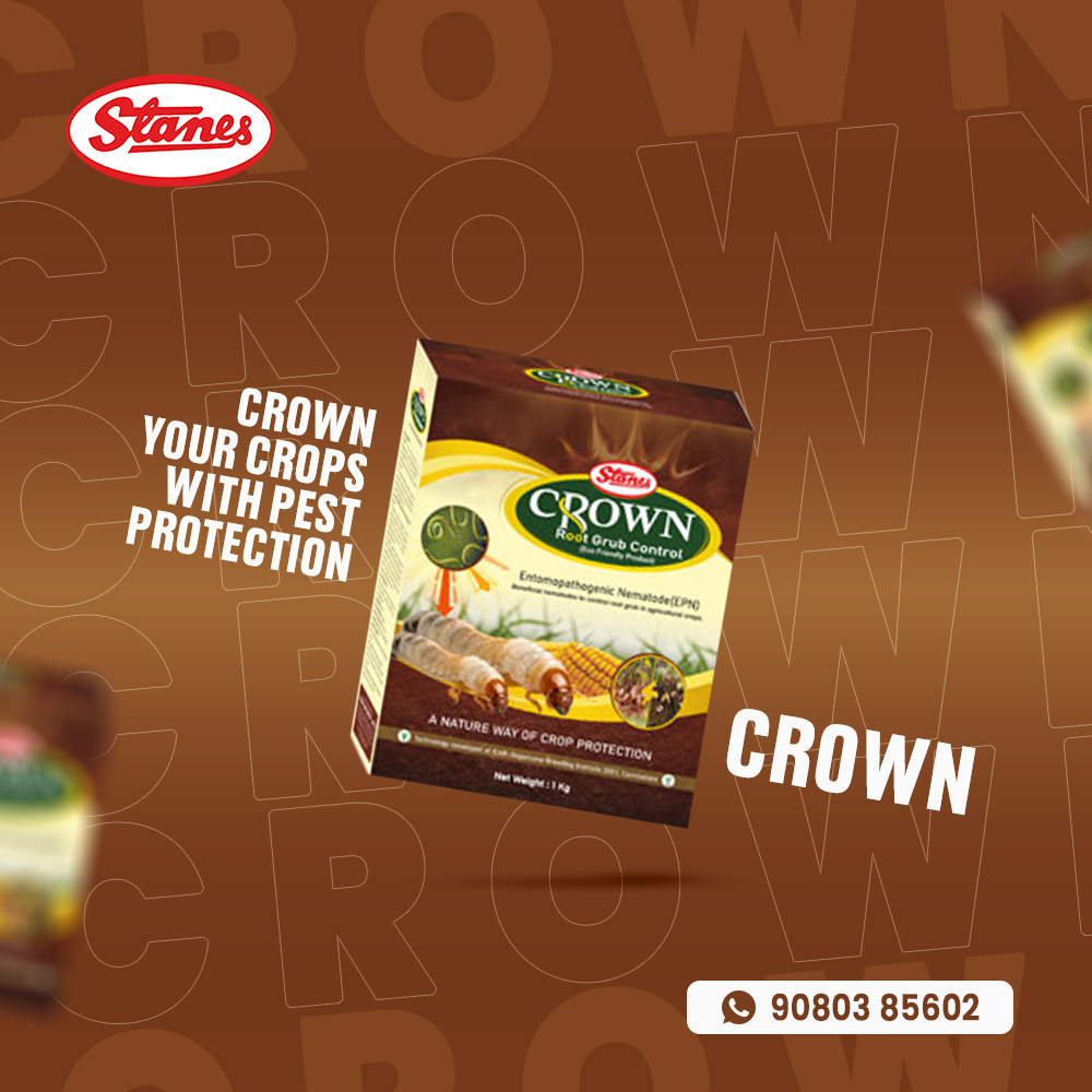 Crown Image