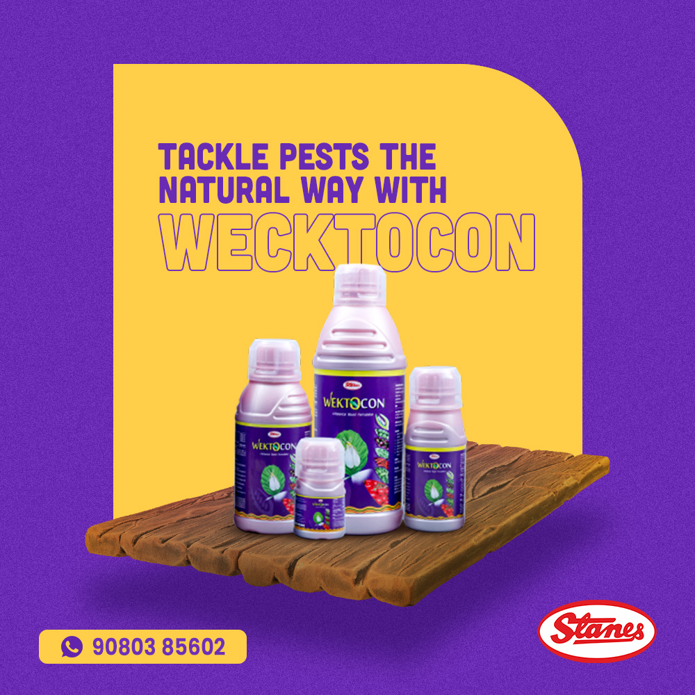 Wektocon Image