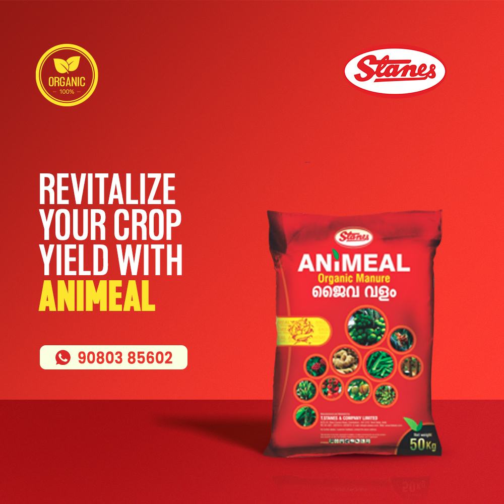 ANIMEAL Image